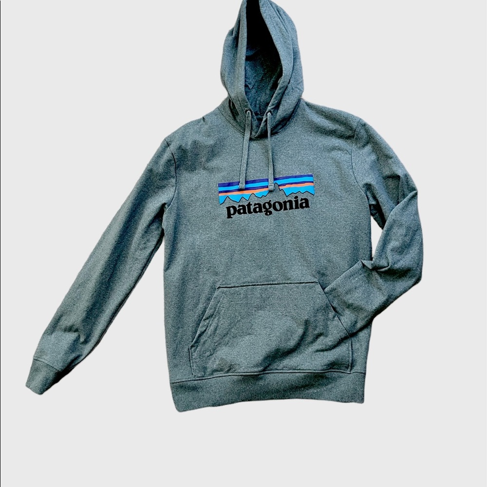 Patagonia Gray Hooded Sweatshirt